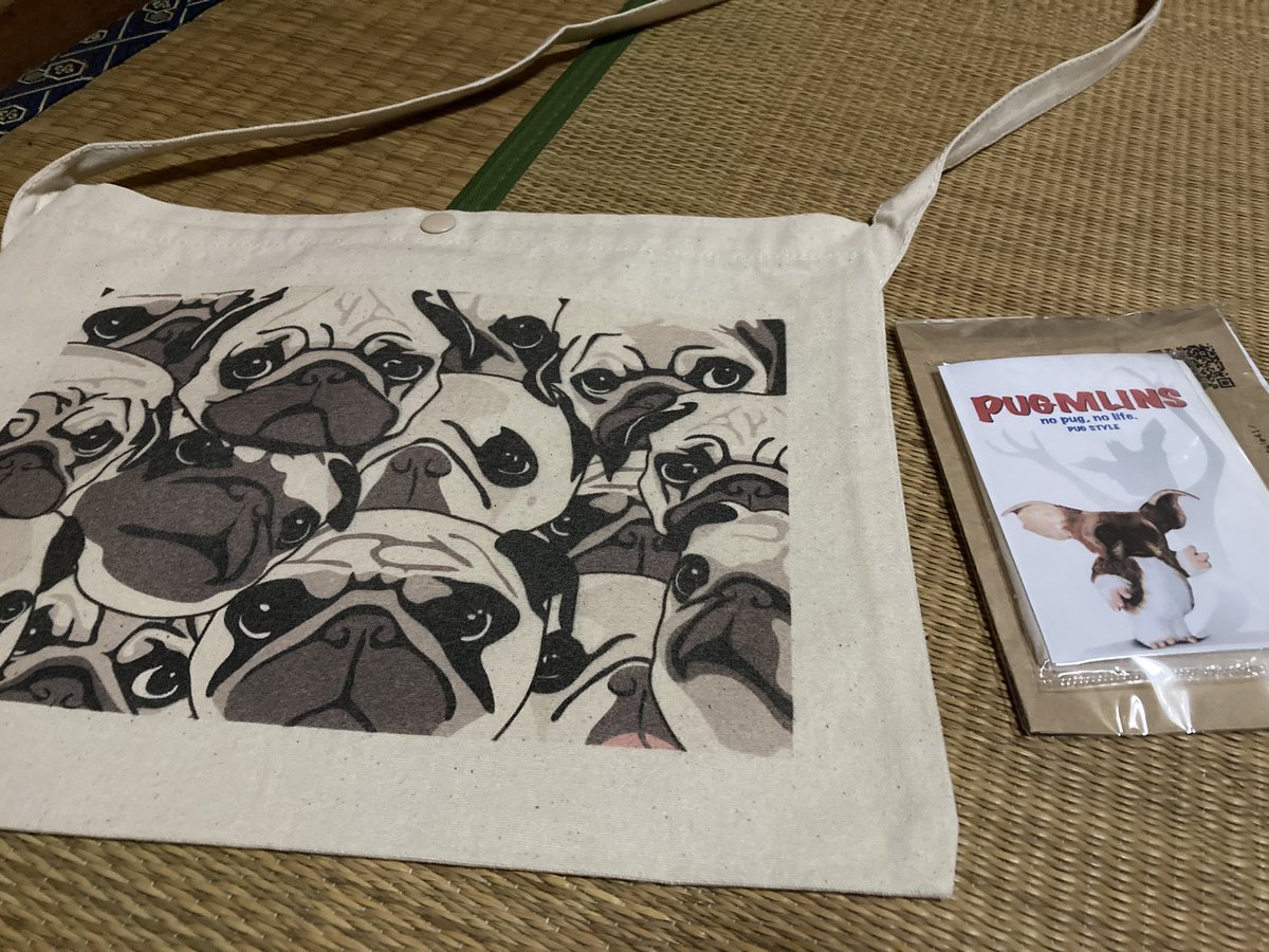 Hornet600pc34TL's tweet image. サコッシュ拝受。
#PUGSTYLE