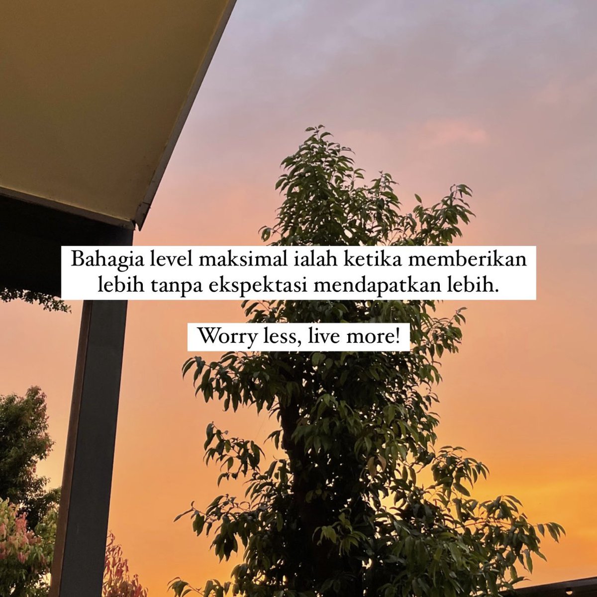 fardiyandi's tweet photo. Worry less, live more✨ https://t.co/buiesKCNrc