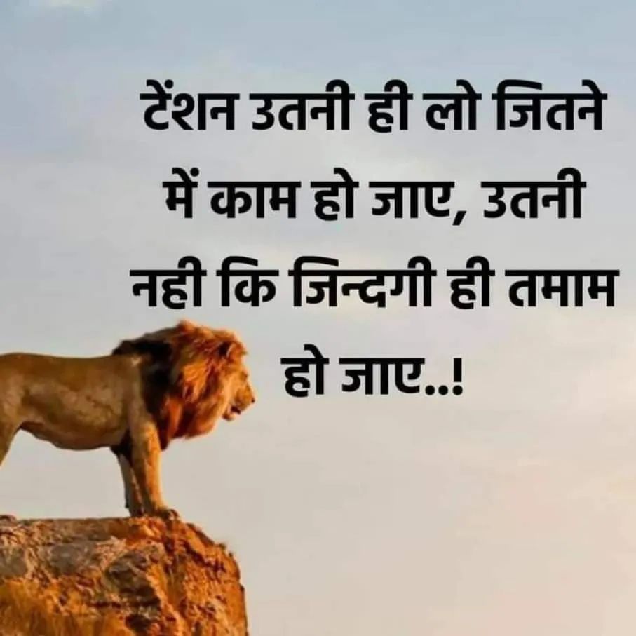 RangrezIsmail's tweet photo. https://t.co/uwo00OBEye
