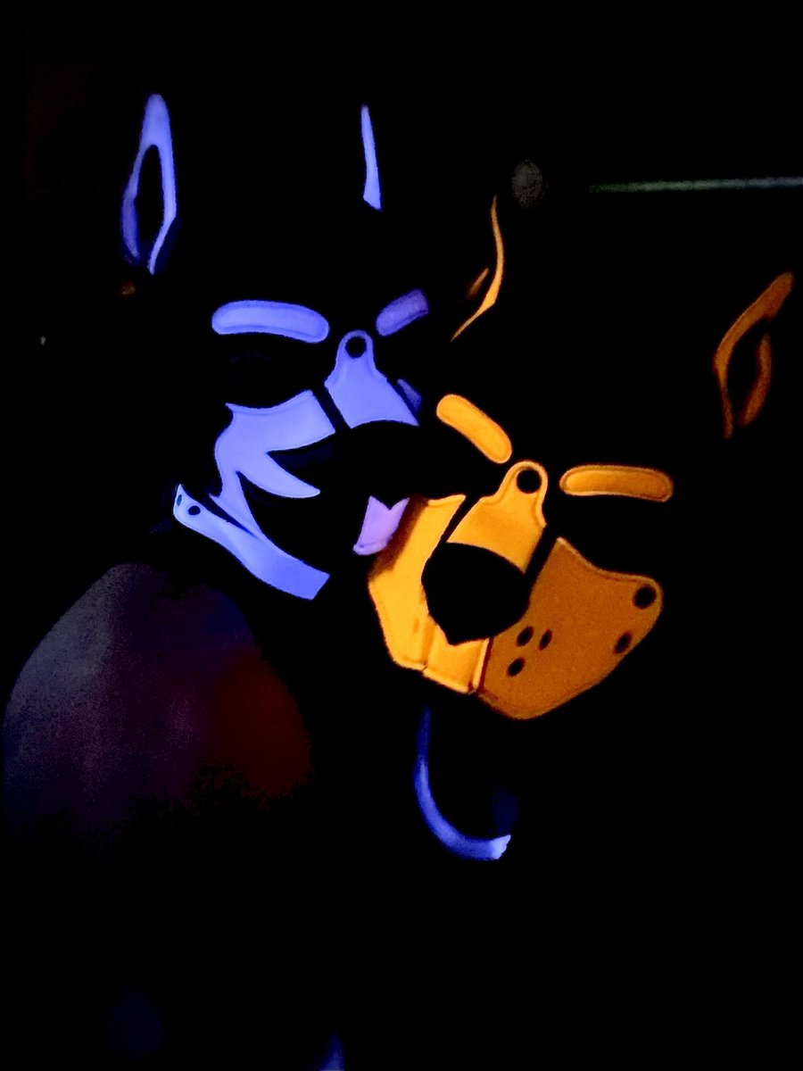 Two Pups loving each other ❤️