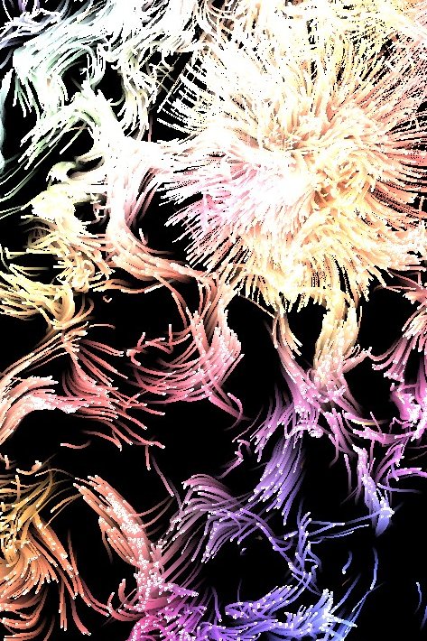 canvas_51's tweet photo. preview of an upcoming drop through Bubblehouse

 #generativeart #creativecoding #flow https://t.co/2iW8QyNwVM