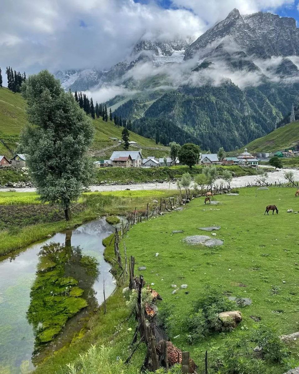 Paktourntravel's tweet photo. Shutkari, Sonamarg
Photo : Montana.
Use #exploringganderbal
To get featured. https://t.co/HdONiXaMzQ