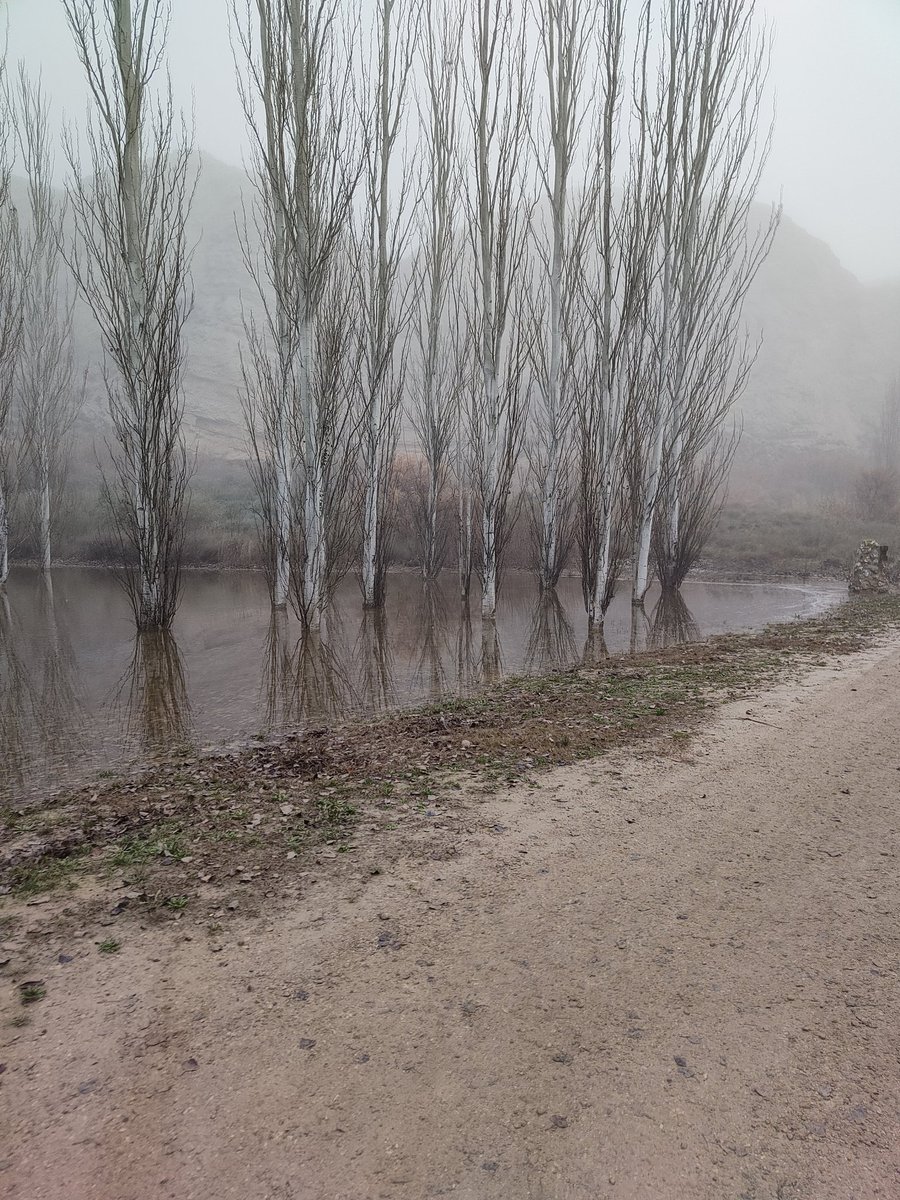 alserrod's tweet photo. 👞 DOMINGOS DE ALPARGATA
👣15 km
📍Juslibol
🌫️niebla muy espesa
👉Caminata de #Domingo por #Juslibol , subiendo a las antenas y bordeando el #galacho
👉Niebla muy espesa todavía
Los galachos siquen inundados por la #riada del #ebro
#andarines #Aragon #senderismo https://t.co/pbHbjC1nx4