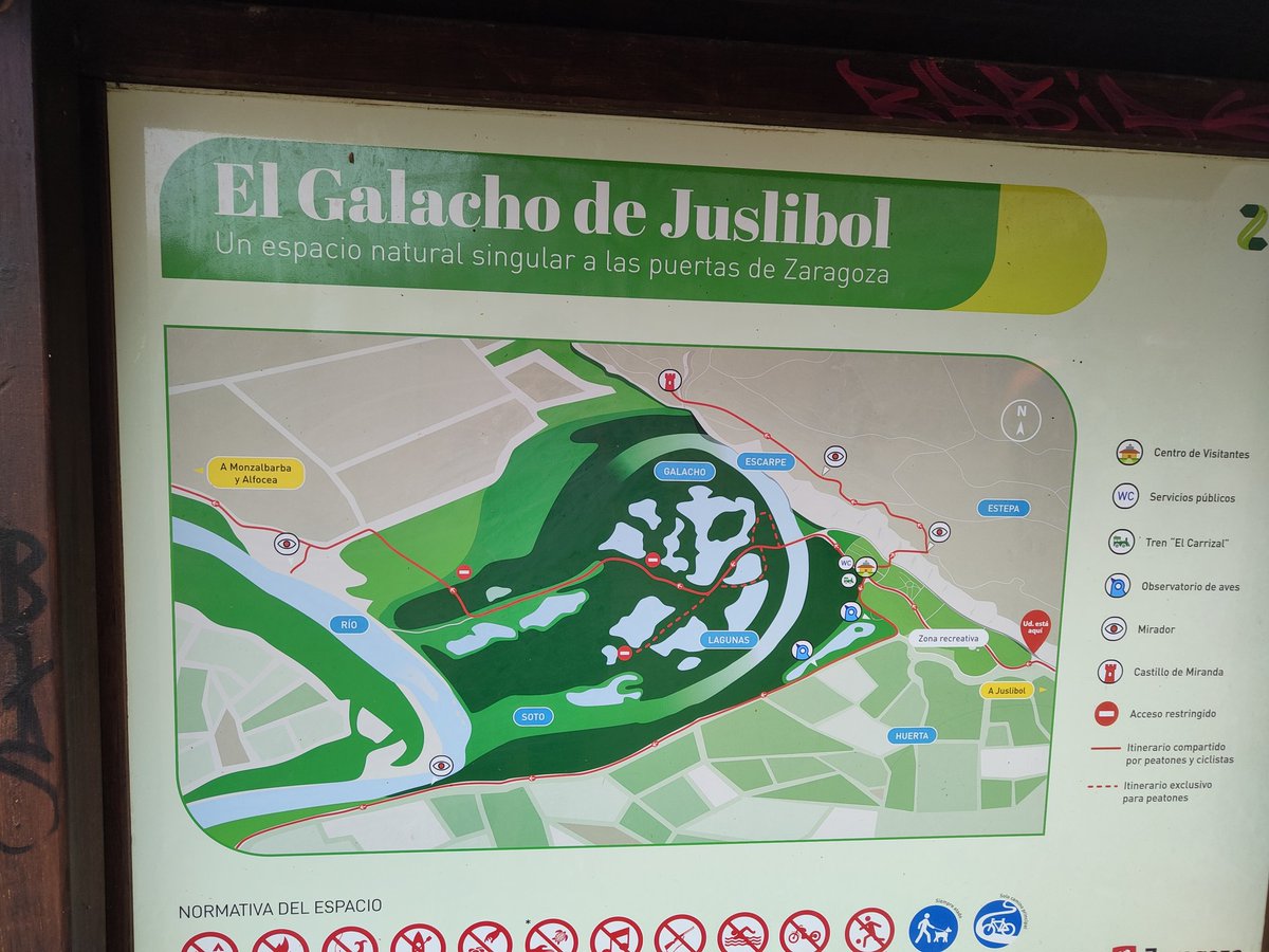 alserrod's tweet photo. 👞 DOMINGOS DE ALPARGATA
👣15 km
📍Juslibol
🌫️niebla muy espesa
👉Caminata de #Domingo por #Juslibol , subiendo a las antenas y bordeando el #galacho
👉Niebla muy espesa todavía
Los galachos siquen inundados por la #riada del #ebro
#andarines #Aragon #senderismo https://t.co/pbHbjC1nx4