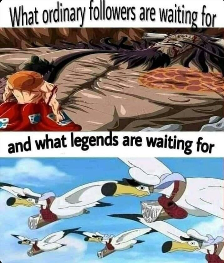 Anime : One Piece