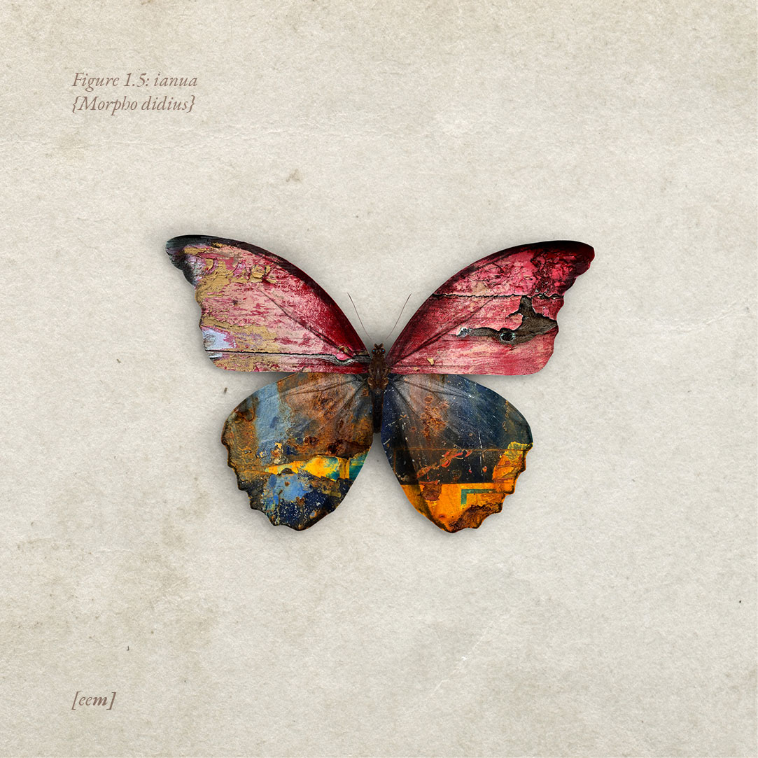 Today's Feature: "Figure 1.5: ianua" by eyeeyemouthdesign on #ENTERART. "The Butterfly Series uses images that I have captured in the real world ... and transforms them into something new; something beautiful." buff.ly/3EpWbvb #NFT #NFTART #NFTArtist #Art