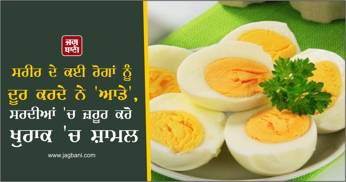 JagbaniOnline's tweet photo. Body ਦੇ ਕਈ ਰੋਗਾਂ ਨੂੰ ਦੂਰ ਕਰਦੇ ਨੇ 'ਆਂਡੇ', ਸਰਦੀਆਂ 'ਚ ਜ਼ਰੂਰ ਕਰੋ ਖੁਰਾਕ 'ਚ ਸ਼ਾਮਲ
https://t.co/eQKcTu0oxp
#Diet #Health #Winterc #Eggs #Body https://t.co/vp4deeLLDf