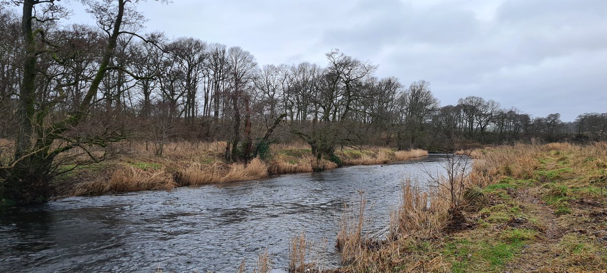 KillearnUK's tweet photo. Great Killearn Boxing Day walk! https://t.co/83pGKVwjiv
