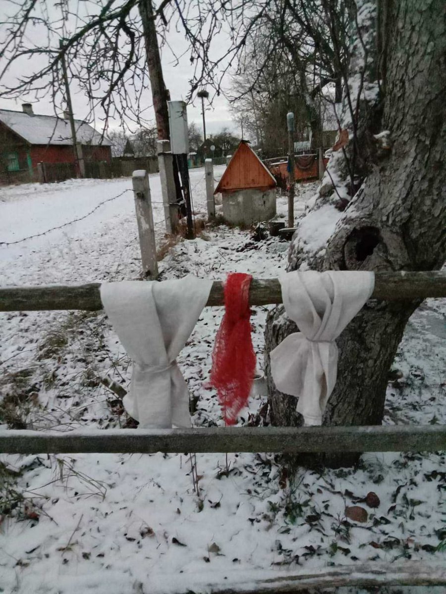 HannaLiubakova's tweet photo. #Belarus Pensioner Alena Hnauk has been detained again. She is accused of protesting - the picture with white and red towels shows what police found as "evidence." Alena was already sentenced to 2 years of restricted freedom under home confinement https://t.co/wuc4X9XlOV