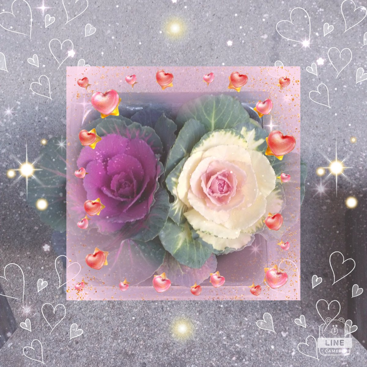 XK0u7MqlqhFCDiL's tweet photo. こんばんはー🌙😃❗

今年最後の日曜日、終わりました。いかがでしたか？

私の所は、母が施設に、入ることに、なり、寂しい、気持ちやら、複雑でした。

荷物の準備やら、でき、それなりに、よかったですが。 https://t.co/oHNUSuguHf