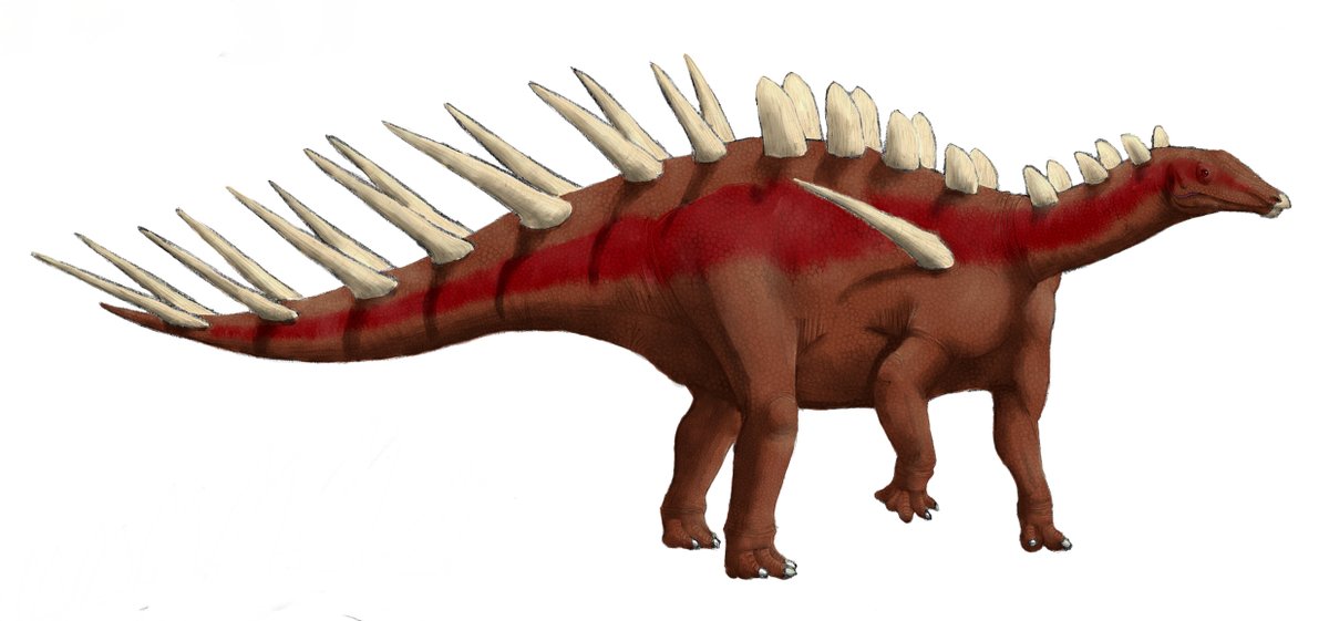 k-ta(けーた)_腰がジワっとイタイ系 on X