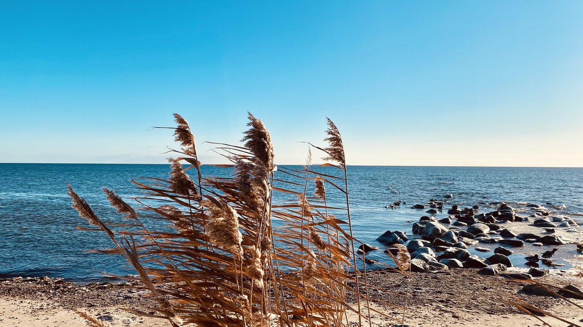 Vordergründig die Reste der ersten Göhrener Seebrücke, im Hintergrund die Fata Morgana der Greifswalder Oie. Sonne ist auch da. Hab ich Eure Aufmerksamkeit?