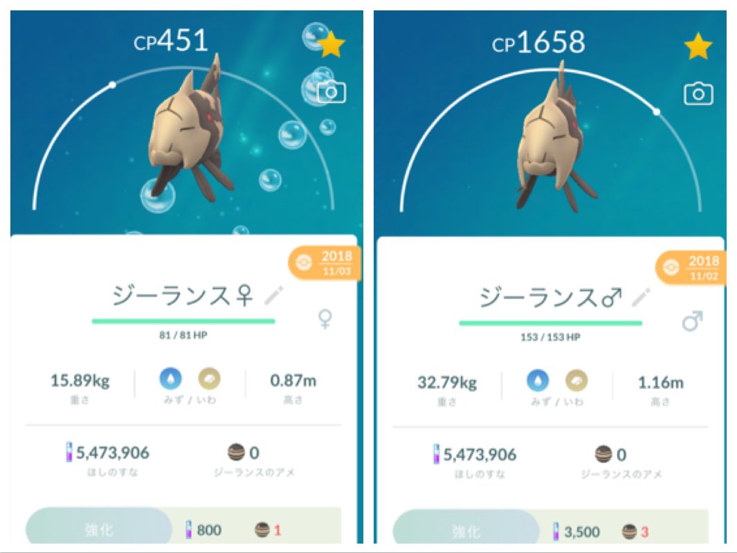 にゃんご ポケモンgo Nyan5go Twitter