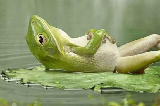 YogaRenewYTT's tweet photo. When the savasana hits jussssst right #thisisyoga https://t.co/E1t2YgMgH6