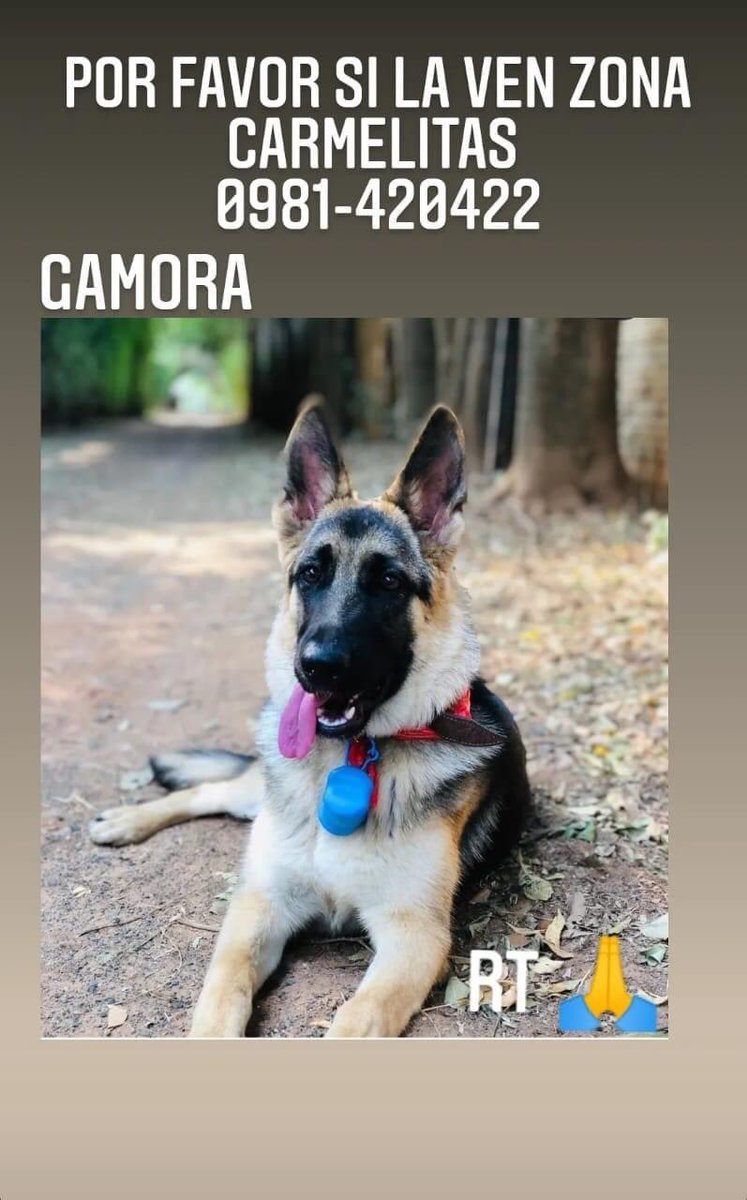 Marcando Huellas tweet media