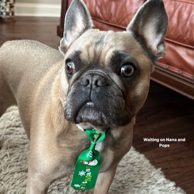 AuNewt's tweet photo. #NewProfilePic https://t.co/apx9cMubAi
