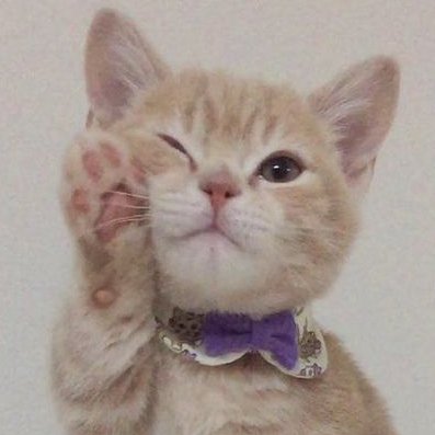 . (@ni_kijpeg) on Twitter photo 