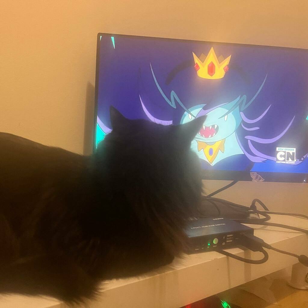 balrogmeowgoth's tweet photo. Salem is helping daddy revise for dungeons and dragons. https://t.co/NnH7w0ujAw https://t.co/o0ULTDiHaF