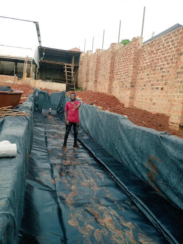 BiogasExpertUg's tweet photo. Hope u enjoyed ur Xmas
Look at how beautifully the the #Sistema_Biogas #40CC got laid today.
The #Biogas from this system can sustain three burners for a minimum of 10HRS.
Let's put wastes to use with #Biogas
Call us: 0701858901/0772793405
@drkasenene @Akeda3 @Elgio_70 @oks1a https://t.co/jIFyPzt1u5