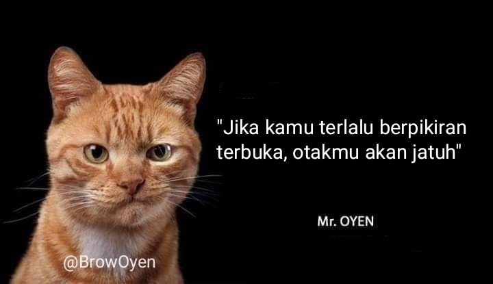 #percumalaporpolisi anya