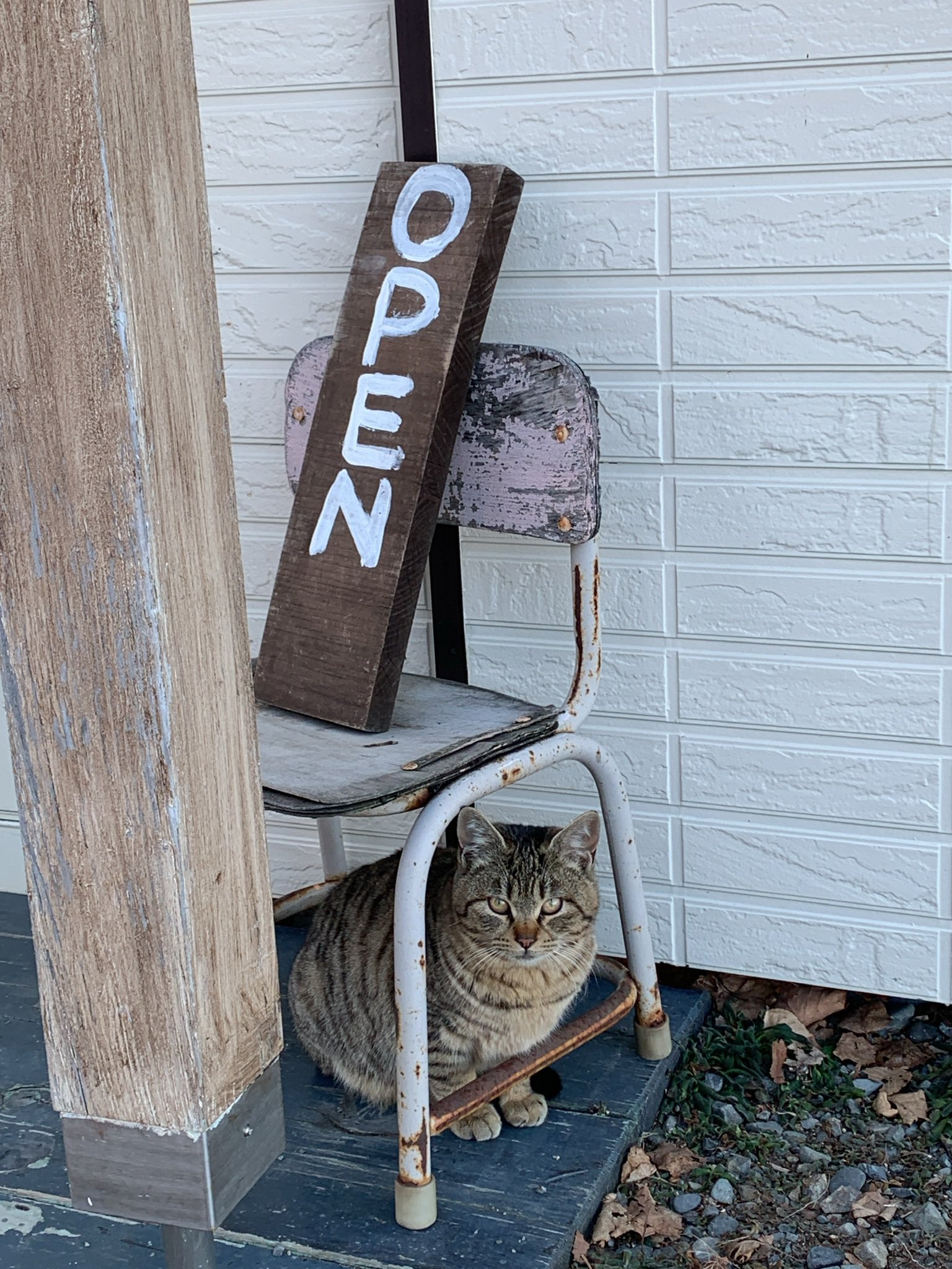 韓信on Twitter 看板猫https T Co Vhb0kiypkz Twitter 韓信on Twitter 看板猫https T Co Vhb0kiypkz Twitter