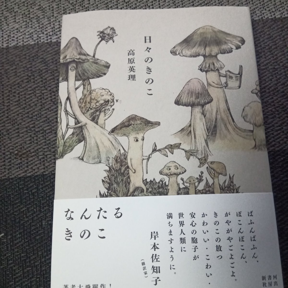 良すぎる……『日々のきのこ』、良すぎるのだ……(読み終えたら紹介します) 