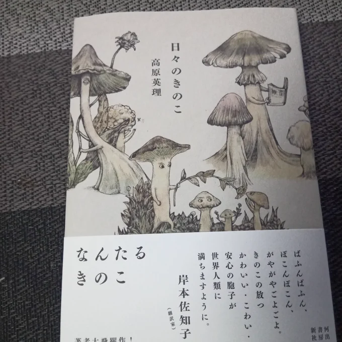 良すぎる……『日々のきのこ』、良すぎるのだ……(読み終えたら紹介します) 