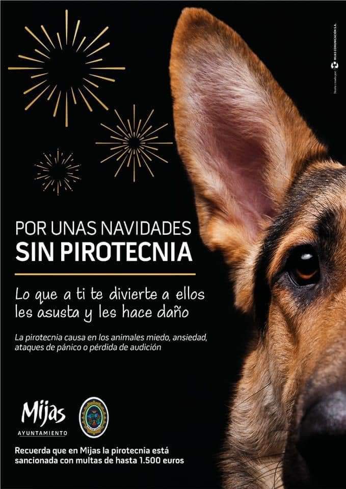 AytoMijas's tweet photo. 📌 La pirotecnia causa en los animales miedo, ansiedad, ataques de pánico o pérdida de audición. Recuerda, lo que a ti te divierte, a ellos les asusta y les hace daño

🎄Por unas navidades #SinPirotecnia 

#gestionmijas #mijas #mijasennavidad https://t.co/3uHqXRePs3