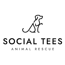 rescuechocolate's tweet photo. It's a FLASH End of Year #Sale. Plus-- meet our 2022 rescue partner! - https://t.co/9RCdJobvxR https://t.co/uASlOD8x8M