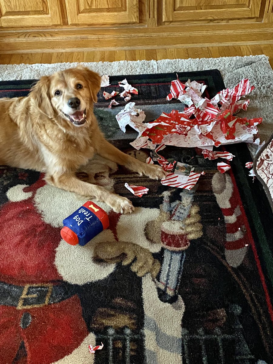 FinleyGolden's tweet photo. Yes, it was a #MerryChristmas to ME!  #RippingPaper #GoldenRetrievers https://t.co/legICk2GNr