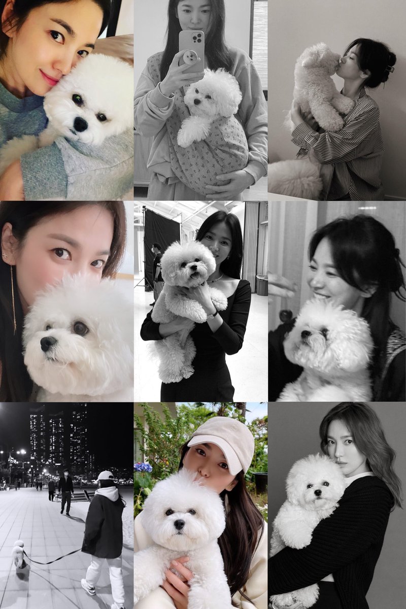 hyekyosgf's tweet photo. happy 2nd birthday to our precious ruby π live a long life princess, so you can make your mom happy for a long long time π§Έπ https://t.co/Qc71ESErpF