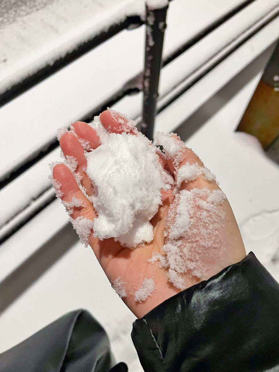 AmyWangwww's tweet photo. 今更気づいた。
自分は冬嫌いではなく、ただ雪が降らない冬が嫌いだけだ🥶 https://t.co/TM89dTIse3