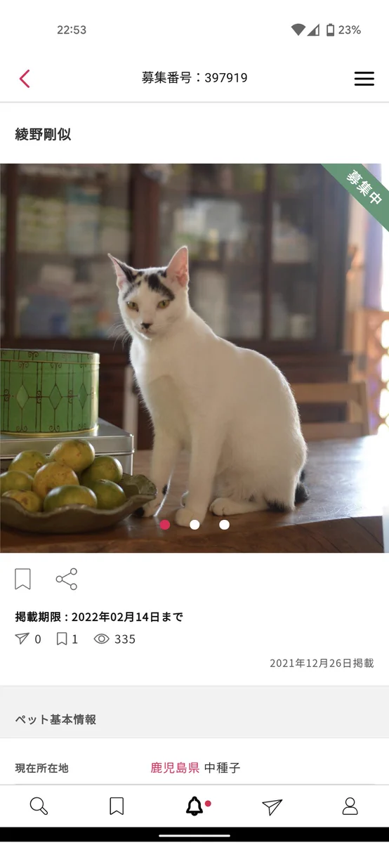猫の里親募集を見てたら、「綾野剛似」と書かれた猫ちゃんがいた！ｗｗ