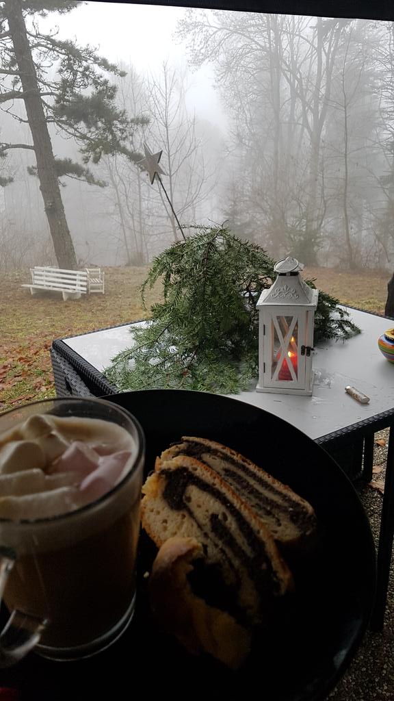 AnnaBurnosN1's tweet photo. Pamiętasz, od kiedy korzystasz z Twittera? Ja tak! No to może gorące cappuccino z makowcem ,z tej okazji? 😉☕🎅🌲 #BlackForesttime #mgla #Świeta #famillytime #silent #nature #Swiss #MojeTwitteroweUrodziny6 https://t.co/s8laRipviq