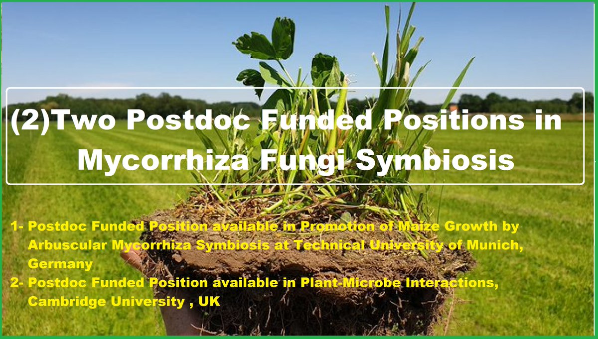 📌 (2)Two Postdoc Funded Positions in Mycorrhiza fungi Symbiosis🌱🦠🌽 at Cambridge University, UK🇬🇧 and Technical University of Munich, Germany🇩🇪... Please Retweet and spread the word! For details visit the link below👉 wp.me/pbv48T-1JD