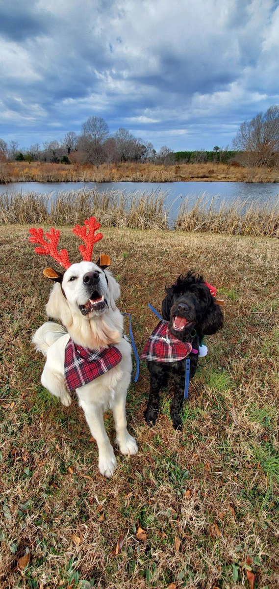 chadfquinn's tweet photo. Merry Christmas to all those who celebrate! https://t.co/kiGxA5fBea