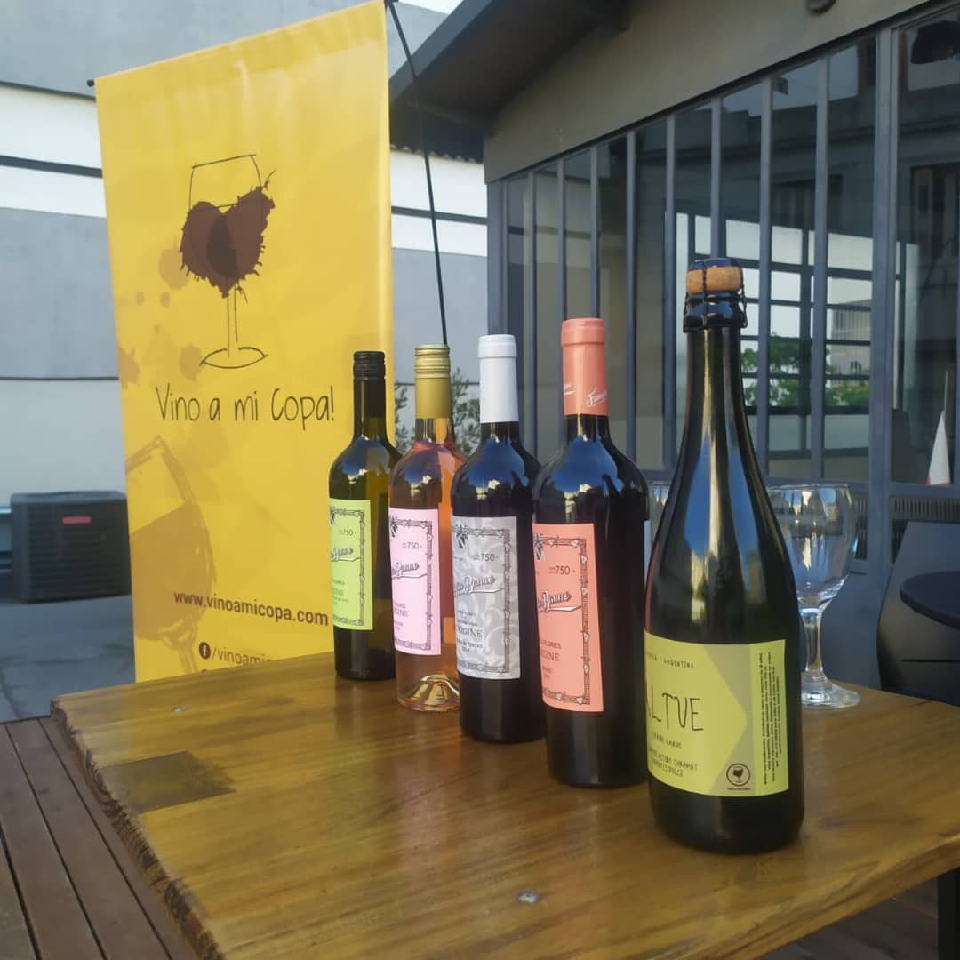 vinoamicopa tweet media