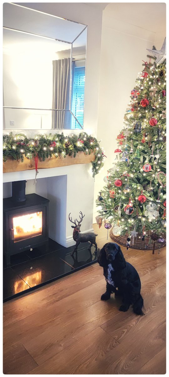 Christmas was good.......is it summer yet?