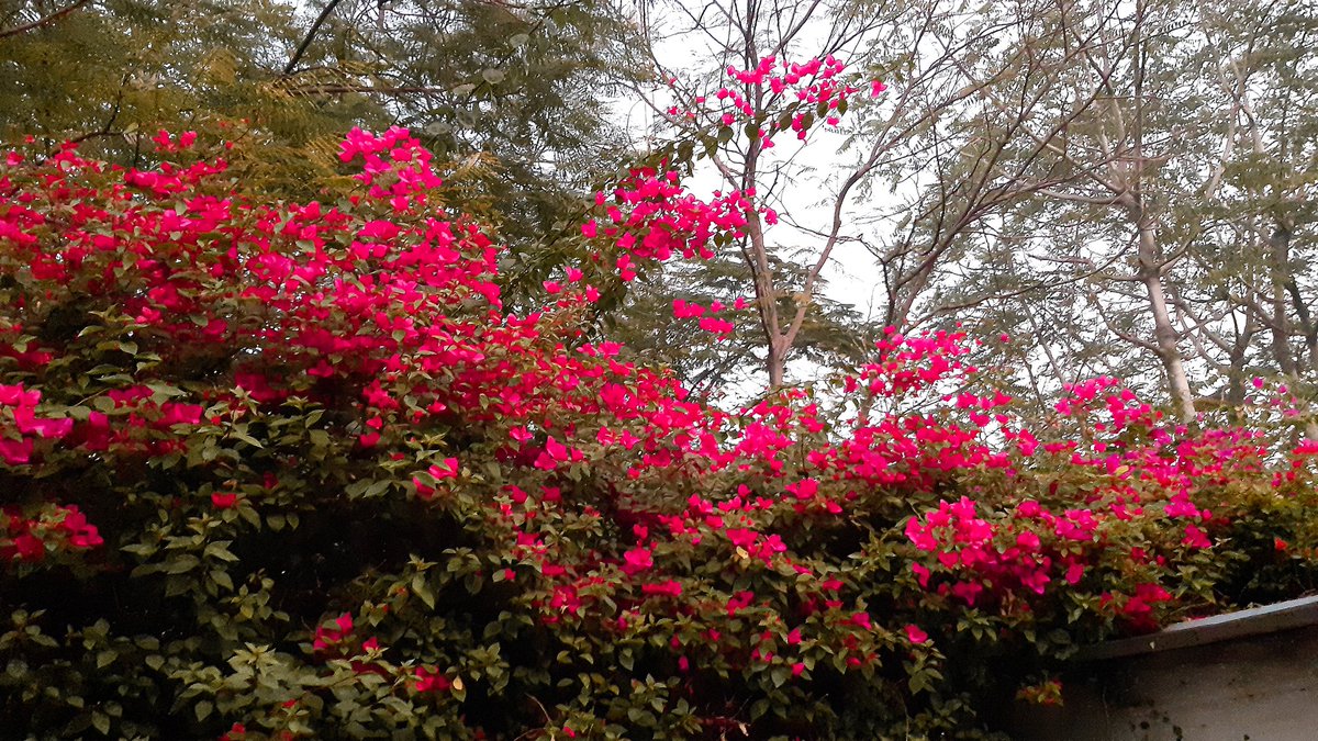 When someone helps you and they are struggling too, that's not help. That's love..❤
#quotestoliveby   #naturelover 
#LifeAintOver  #Twitterhub
#MentalHealthMatters 
#SayNoToDrunkDriving 
#LoveLife  #TrendingNow