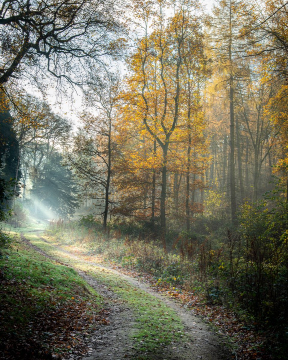 Misty morning walks! The best thing to beat the Christmas bloat, a gorgeous walk throughout the countryside. The formal gardens are closed due to the Enlightened Trail, but there are many free walks you can do starting at the Engine Yard!