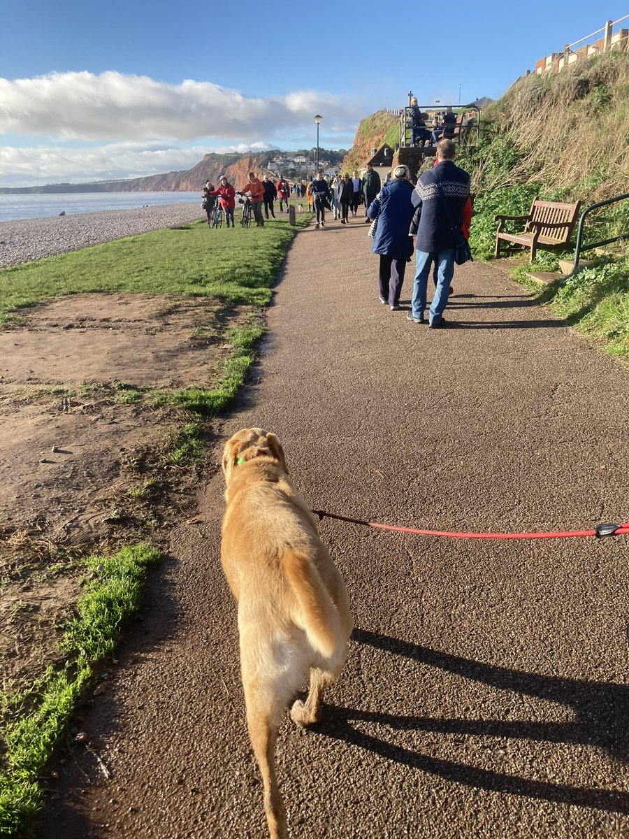 PeterRobinMason's tweet photo. On Honey’s walk yesterday it was lashing down with rain, we got soaked and, surprise, surprise there was no one on the sea front. Today it’s nearly as crowded as it is on a fine day in August. https://t.co/nClmqfRSlf