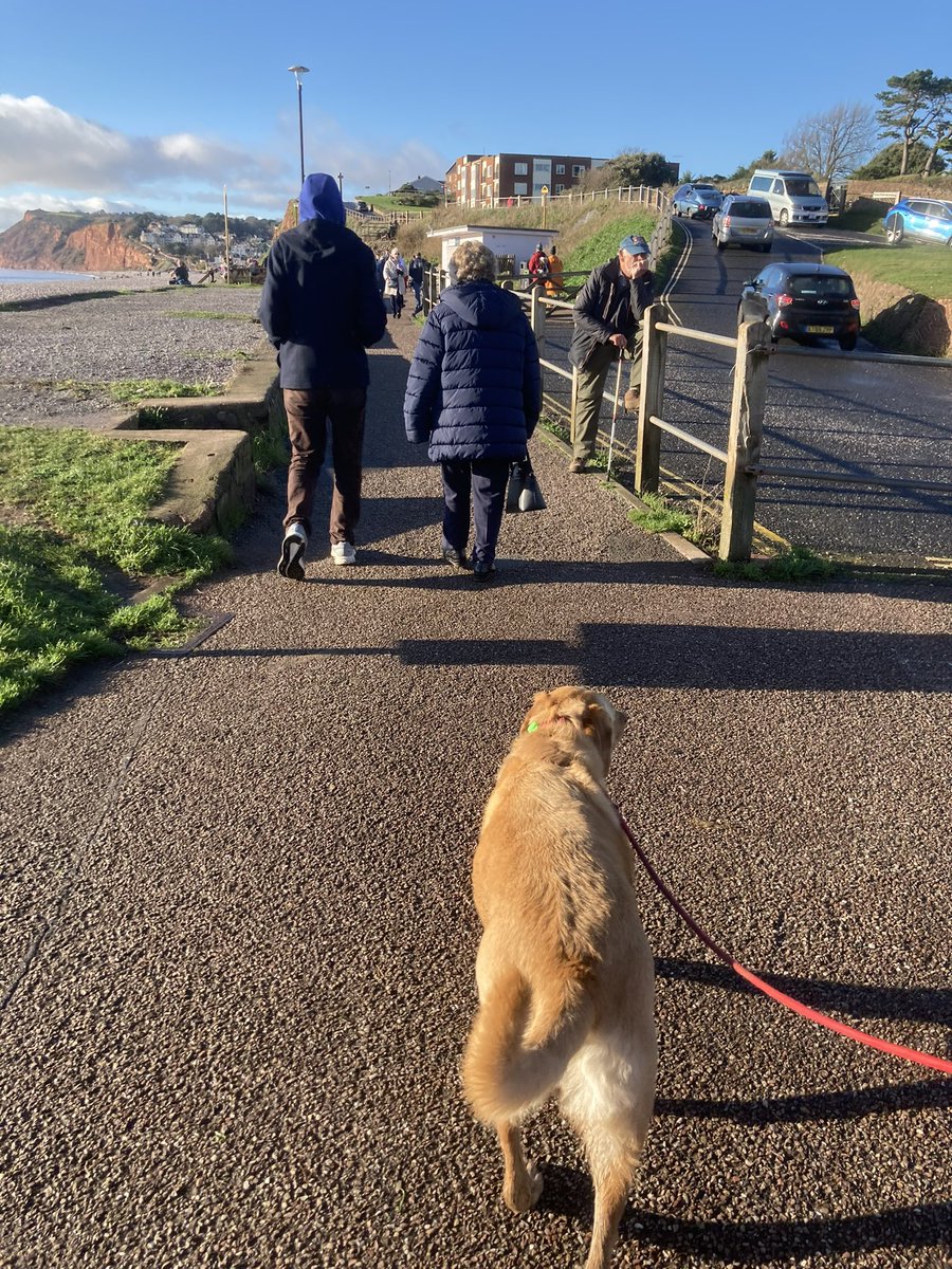 PeterRobinMason's tweet photo. On Honey’s walk yesterday it was lashing down with rain, we got soaked and, surprise, surprise there was no one on the sea front. Today it’s nearly as crowded as it is on a fine day in August. https://t.co/nClmqfRSlf