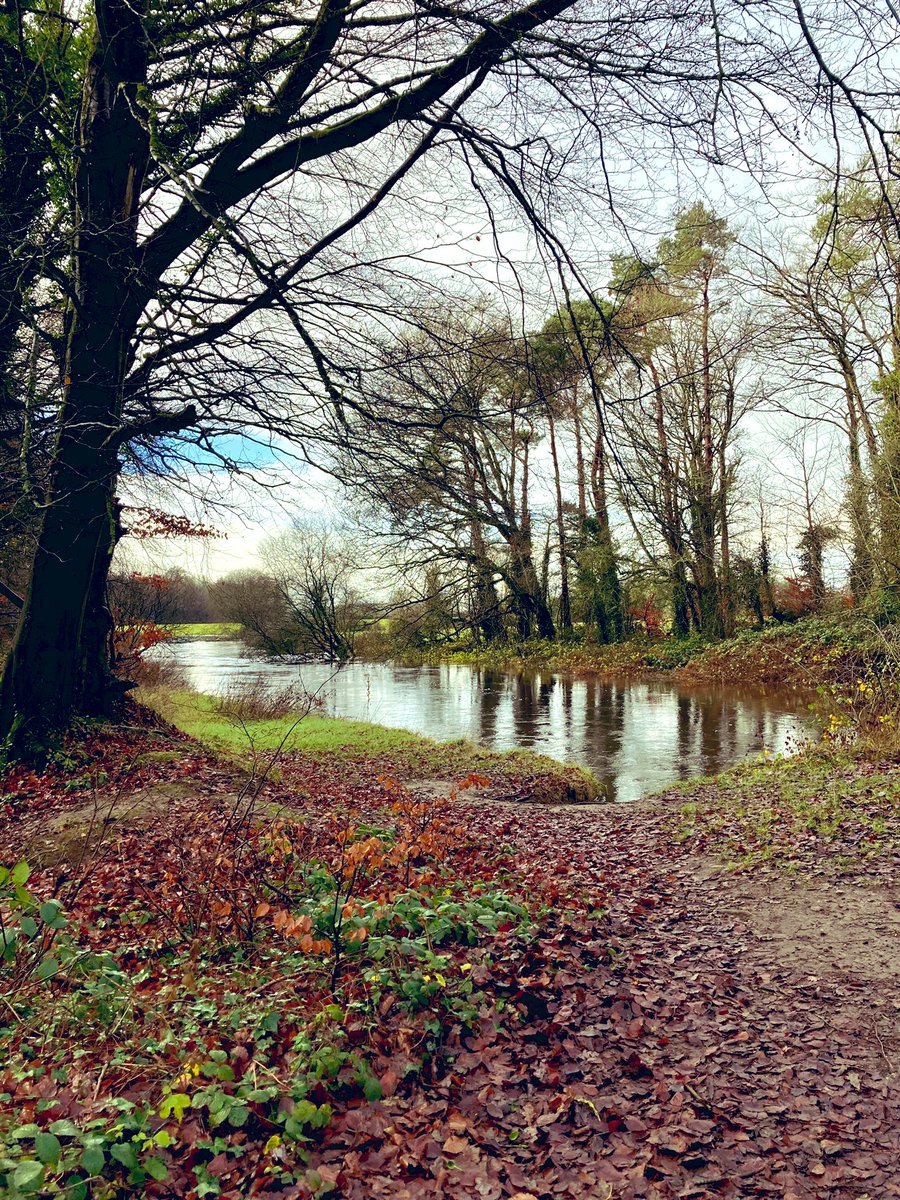 Marie_27's tweet photo. Garryhinch woods lovely walk this morning #laois #Ireland #photography #StStephensDay #walking  @LaoisPeople1  @tourism_laois https://t.co/tmCZr2yUnk
