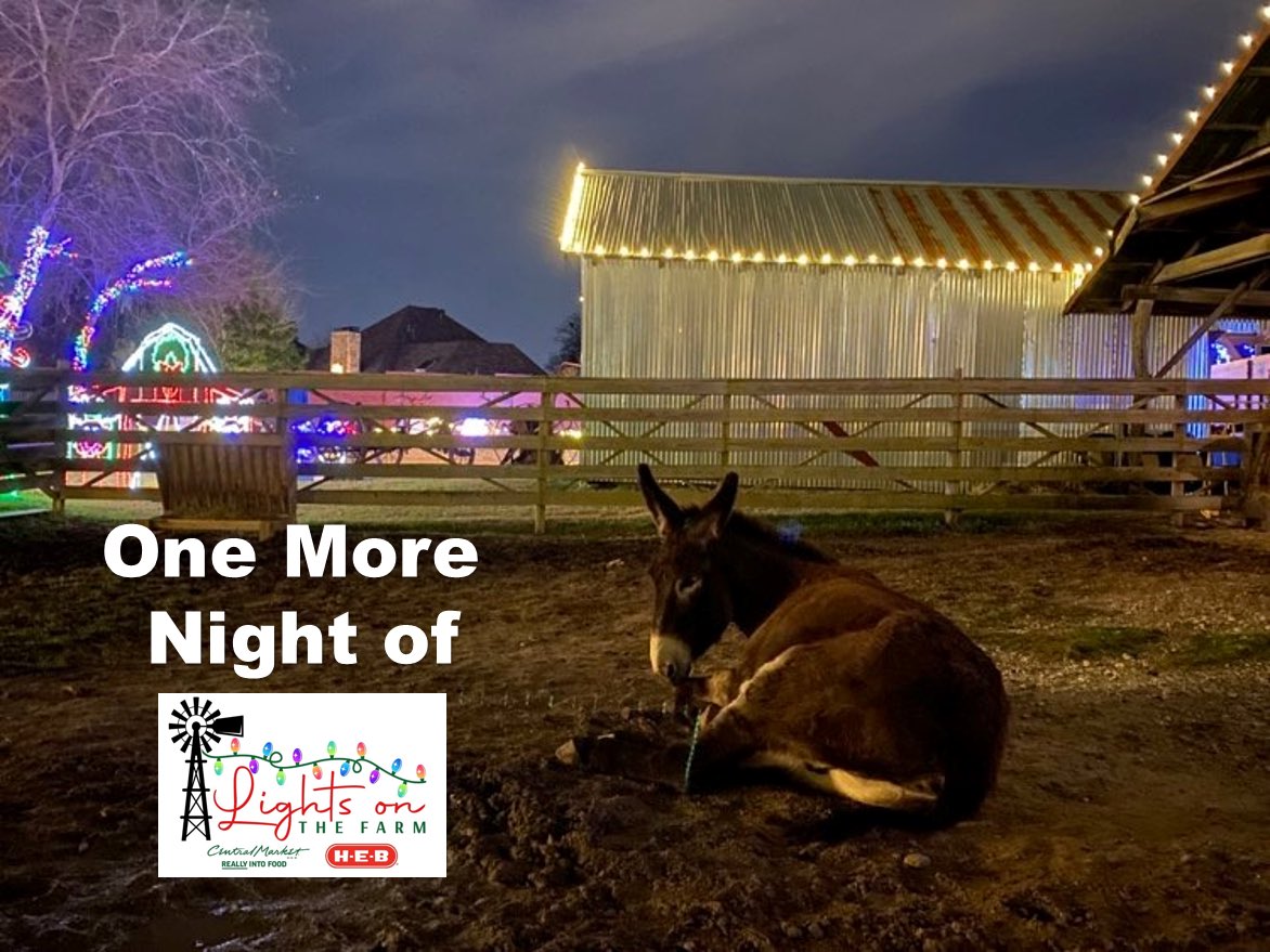 HFMuseum's tweet photo. Join us for one more night. Poncho is BRAYING you’ll come support this community treasure, especially the lovable livestock 😊https://t.co/gDGLyNlXYf @cityofplanotx @visitplano #HolidayLights https://t.co/YFGze4qGrB