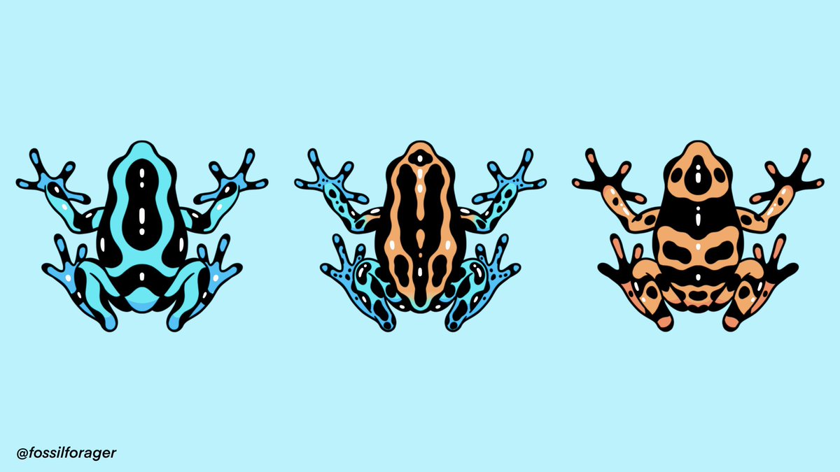 fossilforager's tweet image. dart frogs 💧✨