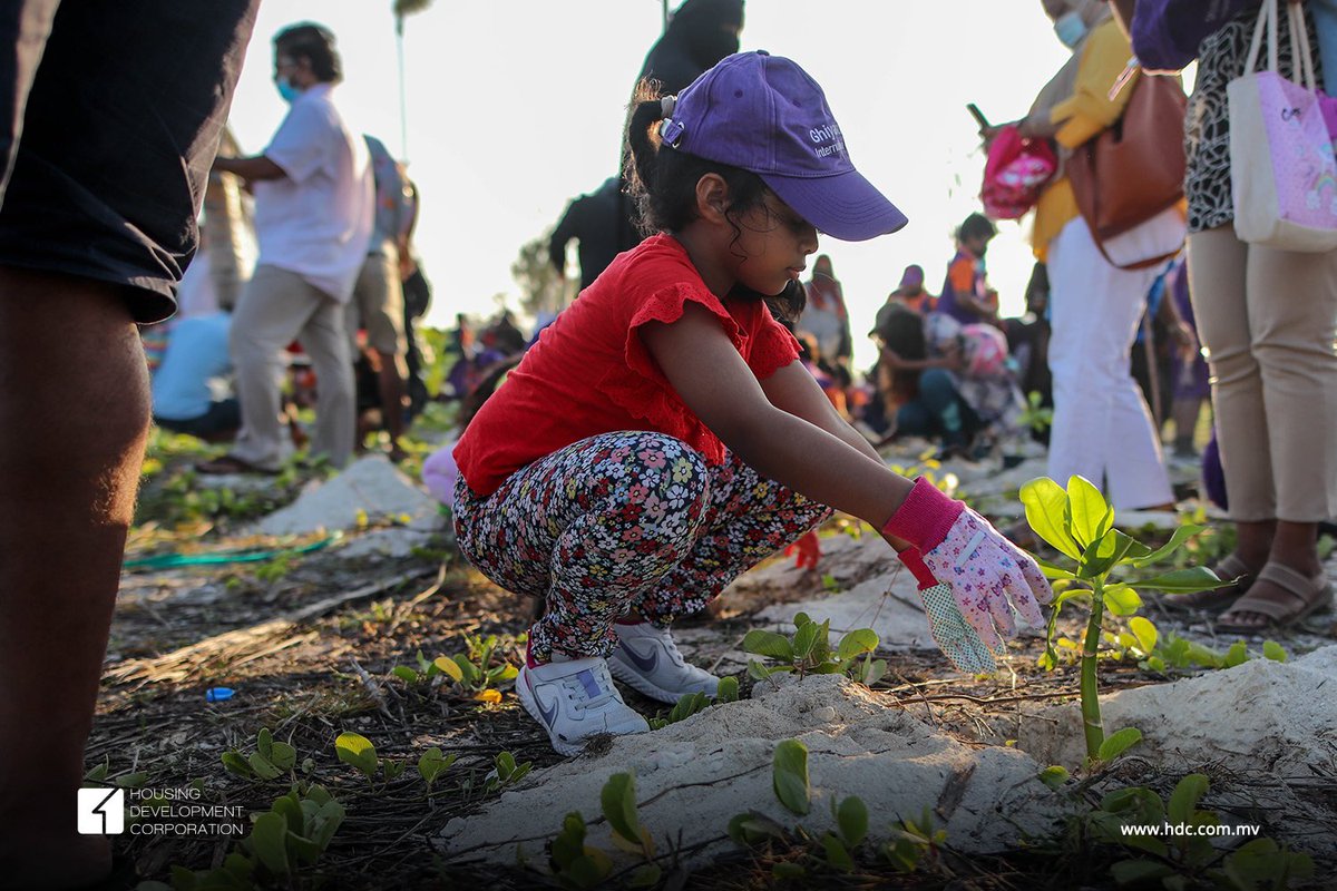 hdcmaldives's tweet photo. Over the course of 20 years, we have lost count of the number of tree plantation’s held since the inception of the Island. 
We encourage such environment conscious initiatives and are glad to be the hosting partner of Go Green Event by @clean_maldives held at Phase 2 beach. https://t.co/na4vfmp0zh