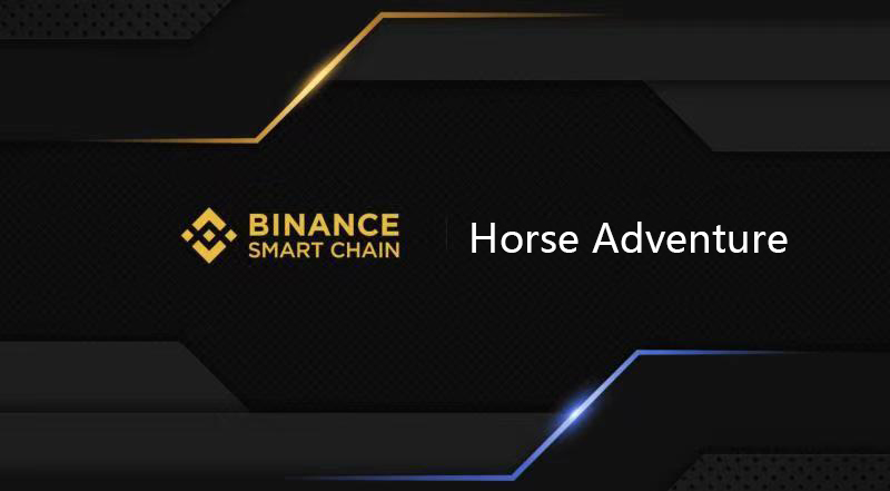 HorseAdventureB's tweet photo. After the private sale ends, we will conduct IDO in pinksale #ido https://t.co/t0nccQykBq