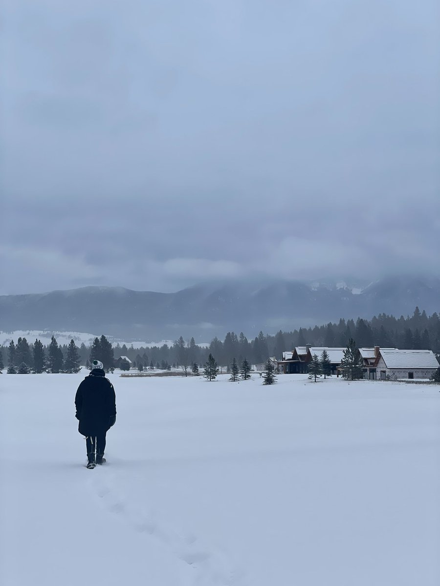 Nick Restivo (@nrestivo) on Twitter photo 