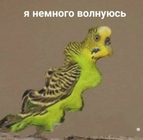 AlexOzzzzz's tweet photo. От такой популярности... https://t.co/3aFXRPkLax