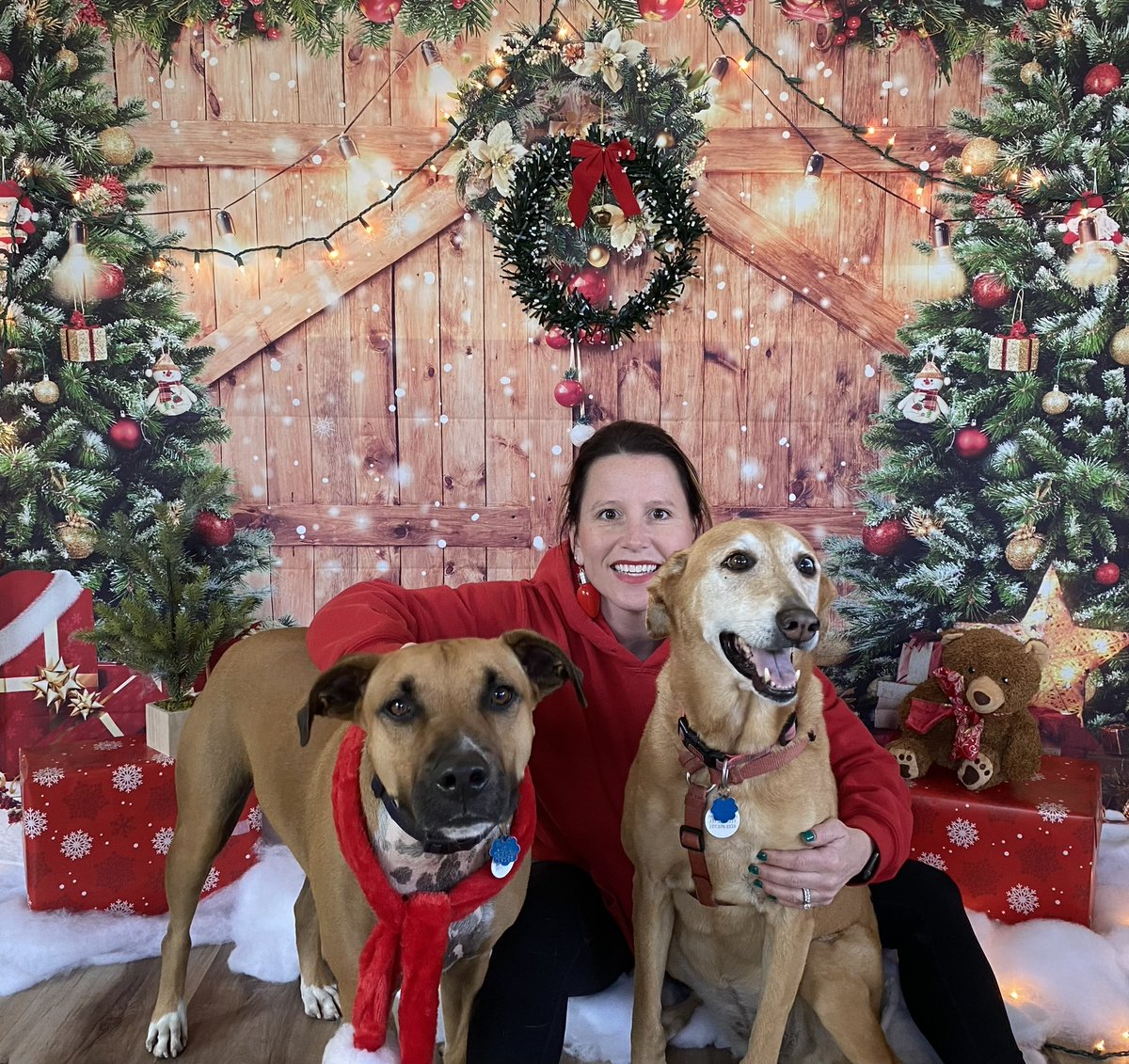PawsandPawPaws's tweet photo. We’re hoping all of our #furfriends had a #happyhowliday 🐶 https://t.co/mdSSJkhPKX